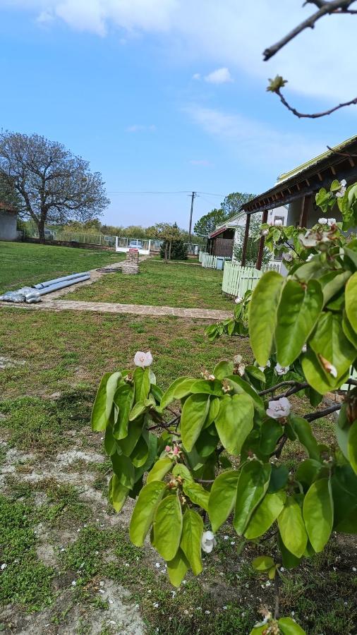 Villa Diiva Curug מראה חיצוני תמונה